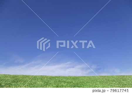 白い雲と青空を背景にした緑の草地の地平線。イメージ、素材 白い雲と青空を背景にした緑の草地の地平線。イメージ、素材 79617745