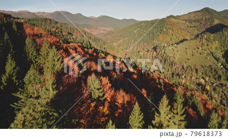 Aerial autumn mountain forest. Sun nobody nature landscape. Countryside buildings at natural beauty Aerial autumn mountain forest. Sun nobody nature landscape. Countryside buildings at natural beauty 79618373