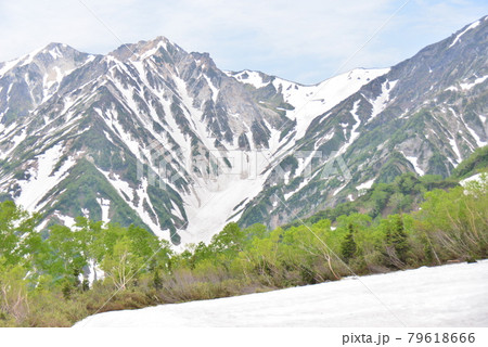 展望湿原からの白馬大雪渓 79618666