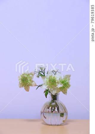 クレマチス 79619385