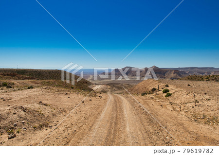 Dirt road entering the desert in Israel 79619782