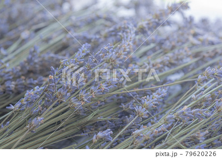 ラベンダーサシェ、ラベンダーポプリ、ドライフラワー、ラベンダーの乾燥、ポプリ、ボタニカル、 ラベンダーサシェ、ラベンダーポプリ、ドライフラワー、ラベンダーの乾燥、ポプリ、ボタニカル、 79620226