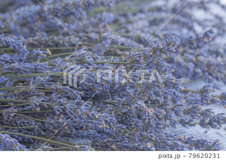 ラベンダーサシェ、ラベンダーポプリ、ドライフラワー、ラベンダーの乾燥、ポプリ、ボタニカル、 ラベンダーサシェ、ラベンダーポプリ、ドライフラワー、ラベンダーの乾燥、ポプリ、ボタニカル、 79620231