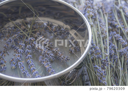 ラベンダーサシェ、ラベンダーポプリ、ドライフラワー、ラベンダーの乾燥、ポプリ、ボタニカル、 79620309