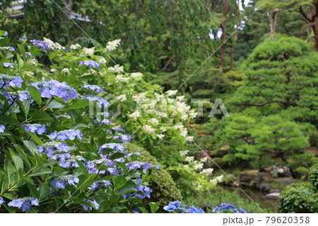 仙台北山の名刹輪王寺の庭園 79620358