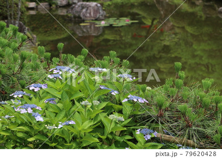 仙台北山の名刹輪王寺の庭園 79620428