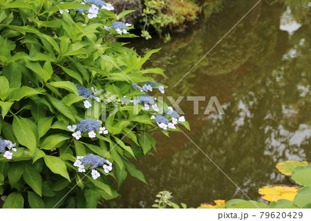 仙台北山の名刹輪王寺の庭園 79620429