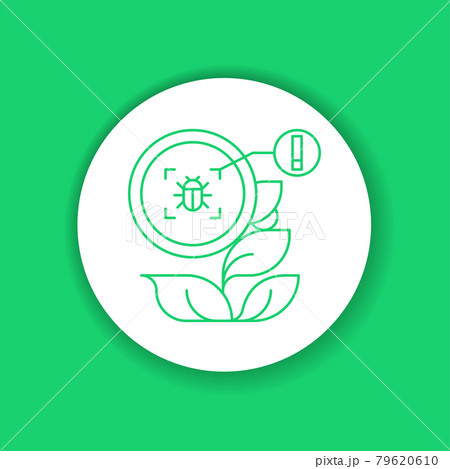 System monitoring the crop field with the help of sensors. Insect, parasite in tomato. 79620610