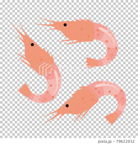 桜海老　サクラエビ 79622032