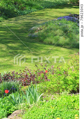 新緑の芝生と花壇、種を蒔いて造った芝生 79623043