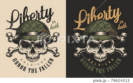 Skull t-shirt print concept Skull t-shirt print concept 79624313