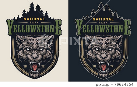 Colorful national park vintage logotype Colorful national park vintage logotype 79624554