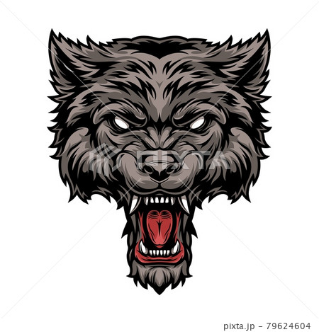 Colorful dangerous scary ferocious wolf head 79624604