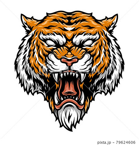 Colorful aggressive strong tiger head 79624606