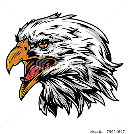 Vintage eagle head mascot colorful conceptのイラスト素材 [79624607