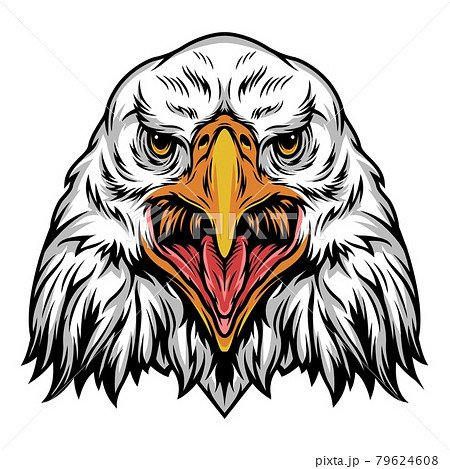 Colorful angry eagle head templateのイラスト素材 [79624608] - PIXTA