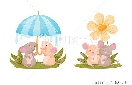 Pair of Cute Mice Sitting Under Umbrella and Embracing Vector Set Pair of Cute Mice Sitting Under Umbrella and Embracing Vector Set 79625236