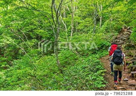 新緑の磐梯山を行く登山者 79625288