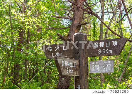 磐梯山登山道の分岐標識 磐梯山登山道の分岐標識 79625299