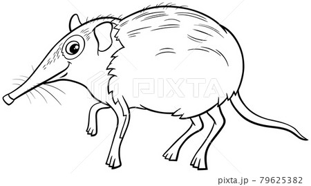 cartoon elephant shrew animal character coloring book page 79625382
