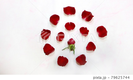 Flat lay of a small red rose bud, surrounded by petals in circular shape. On a pink marble background. 79625744