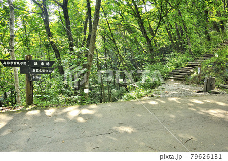 奥武蔵の森 丸山,県民の森ハイキングコース 奥武蔵の森 丸山,県民の森ハイキングコース 79626131