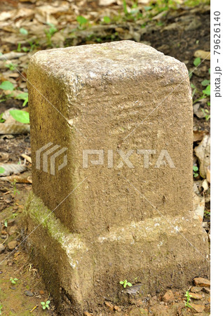 奥武蔵 丸山山頂 三等三角点 奥武蔵 丸山山頂 三等三角点 79626140