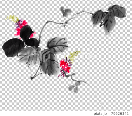水墨画技法で描かれた葛 79626341