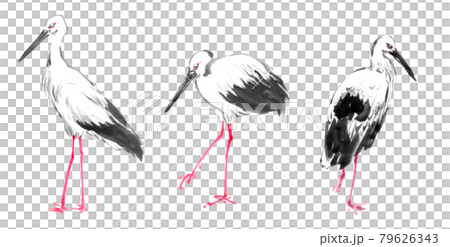 水墨画技法で描かれたコウノトリパーツのイラスト素材 [79626343] - PIXTA