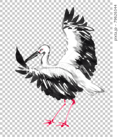 水墨画技法で描かれたコウノトリのイラスト素材 [79626344] - PIXTA