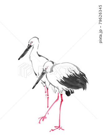 水墨画技法で描かれたコウノトリペア 水墨画技法で描かれたコウノトリペア 79626345