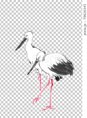 水墨画技法で描かれたコウノトリペア 水墨画技法で描かれたコウノトリペア 79626345