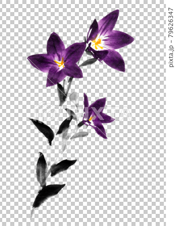 水墨画技法で描かれた桔梗のイラスト素材 [79626347] - PIXTA