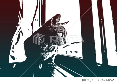 猫 ネコ ねこ キジトラ 白 グレー 子猫 雌 メス 雌ねこ 雌ネコ 雌猫 元気 かわいい 癒し 猫 ネコ ねこ キジトラ 白 グレー 子猫 雌 メス 雌ねこ 雌ネコ 雌猫 元気 かわいい 癒し 79626852