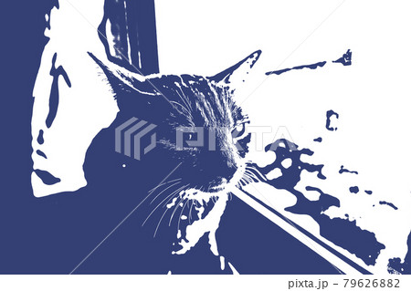 猫 ネコ ねこ キジトラ 白 グレー 子猫 雌 メス 雌ねこ 雌ネコ 雌猫 元気 かわいい 癒し 猫 ネコ ねこ キジトラ 白 グレー 子猫 雌 メス 雌ねこ 雌ネコ 雌猫 元気 かわいい 癒し 79626882