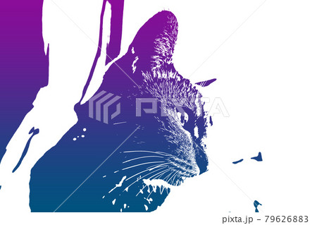 猫 ネコ ねこ キジトラ 白 グレー 子猫 雌 メス 雌ねこ 雌ネコ 雌猫 元気 かわいい 癒し 猫 ネコ ねこ キジトラ 白 グレー 子猫 雌 メス 雌ねこ 雌ネコ 雌猫 元気 かわいい 癒し 79626883