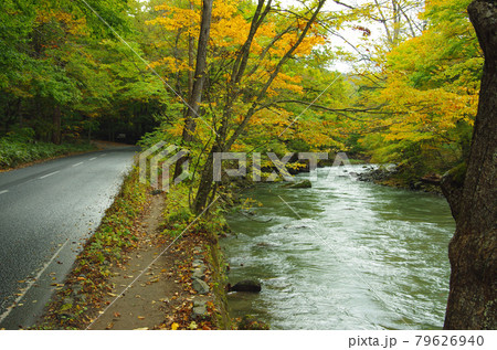十和田道と奥入瀬川の清流 十和田道と奥入瀬川の清流 79626940