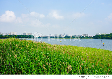 谷津干潟公園（千葉県習志野市） 79627327