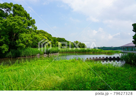 谷津干潟公園(千葉県習志野市) 谷津干潟公園(千葉県習志野市) 79627328