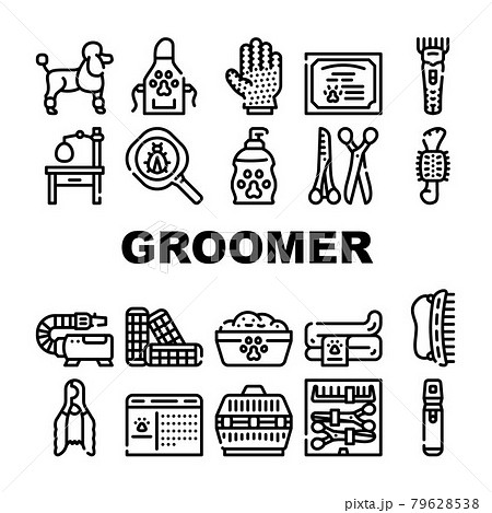 Groomer Pet Service Collection Icons Set Vector 79628538