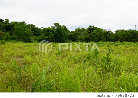 浜益村立幌中学校グラウンド跡地 浜益村立幌中学校グラウンド跡地 79628772