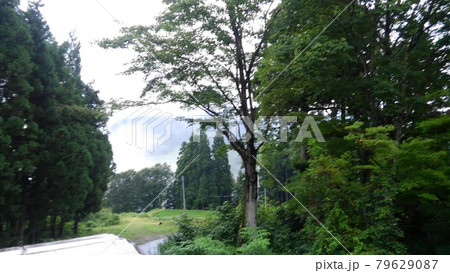 窓越しの雲海 窓越しの雲海 79629087