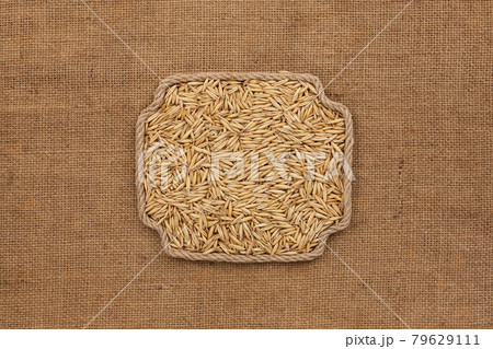 Frame made of rope with a whole, ripe oat grain. With space for design, text place. Frame made of rope with a whole, ripe oat grain. With space for design, text place. 79629111