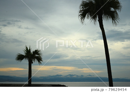 田ノ浦ビーチ 79629454