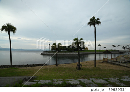 田ノ浦ビーチ 79629534