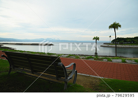 田ノ浦ビーチ 79629595