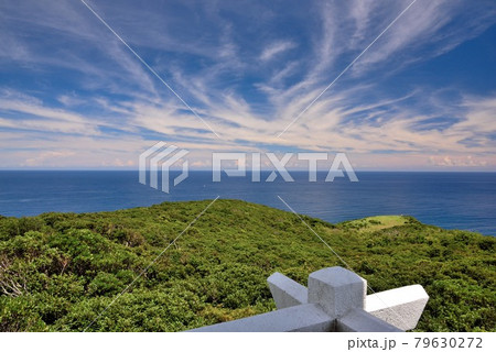 奄美大島 初夏の蒲生崎観光公園 奄美大島 初夏の蒲生崎観光公園 79630272