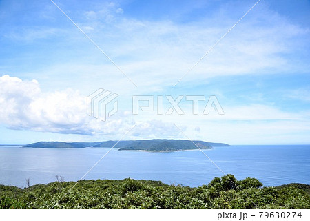 奄美大島 初夏の蒲生崎観光公園 奄美大島 初夏の蒲生崎観光公園 79630274