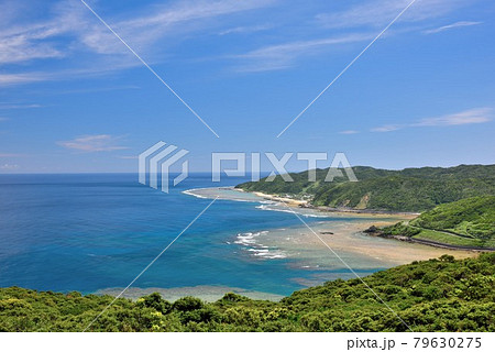 奄美大島 初夏の蒲生崎観光公園 奄美大島 初夏の蒲生崎観光公園 79630275