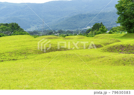 夏の日の「阿津賀志山防塁」　福島県国見町 79630383